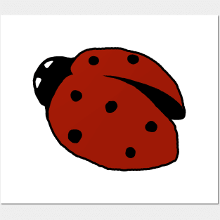 Ladybug Posters and Art